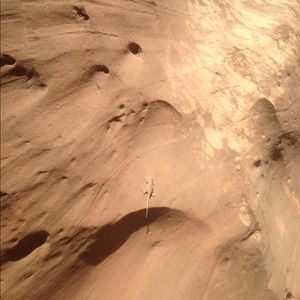 Meet your Posher, Zachary